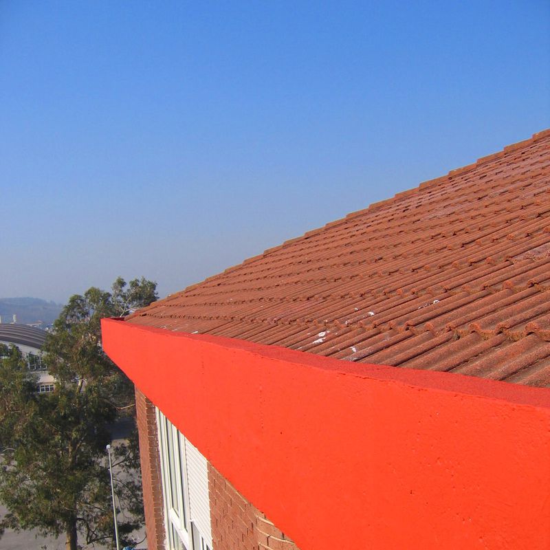 Revestimiento de pintura anticarbonatación en alero de hormigón Torrelavega.