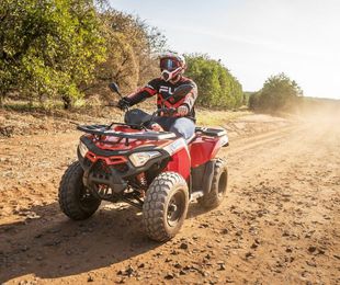 Los mejores quads para aventuras todo terreno: Resistencia y potencia