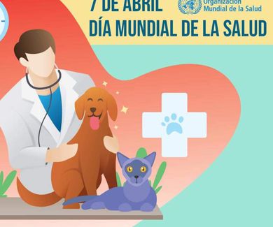 Día de la Salud