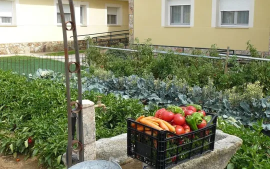 Imagen 1 de la galería