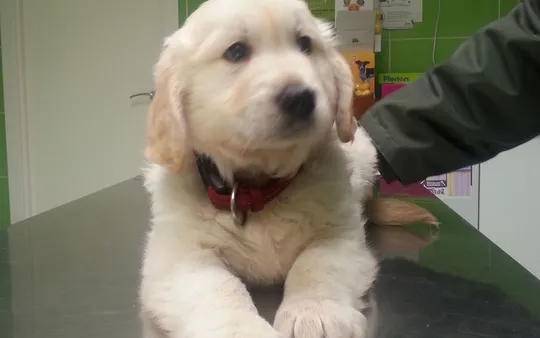 Imagen 6 de la galería