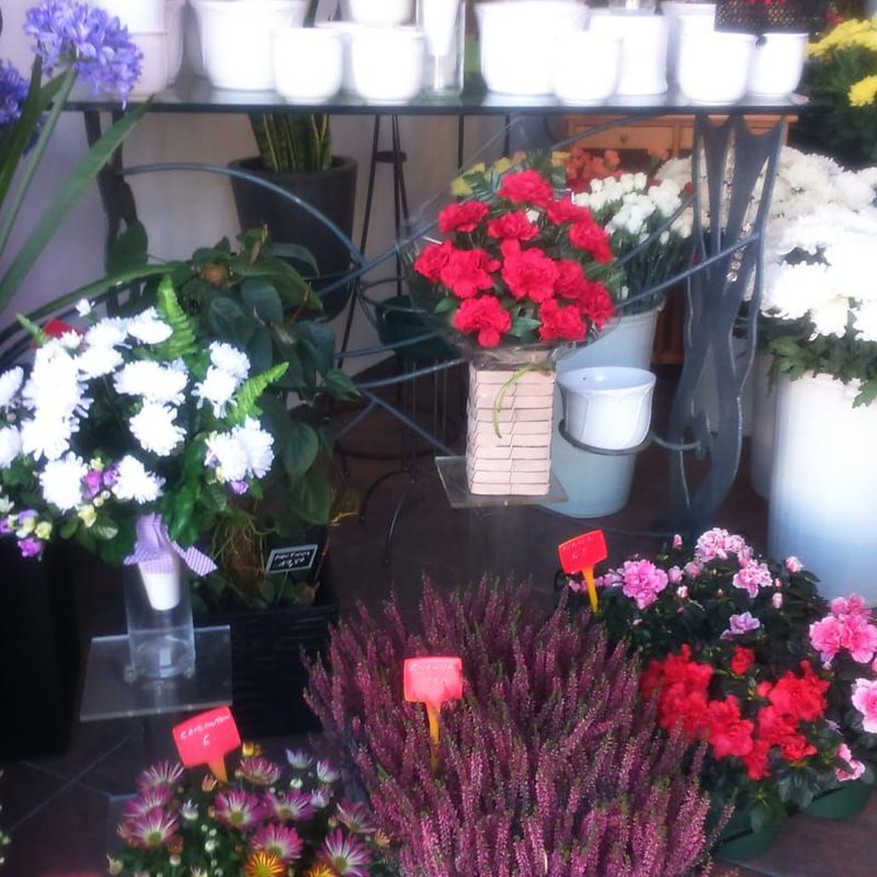 Venta de flores y plantas: Productos y servicios de Gonflor Floristería
