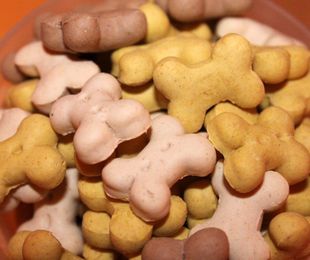 ¡Dale lo mejor a tu mascota! Alimentación saludable con piensos de alta calidad