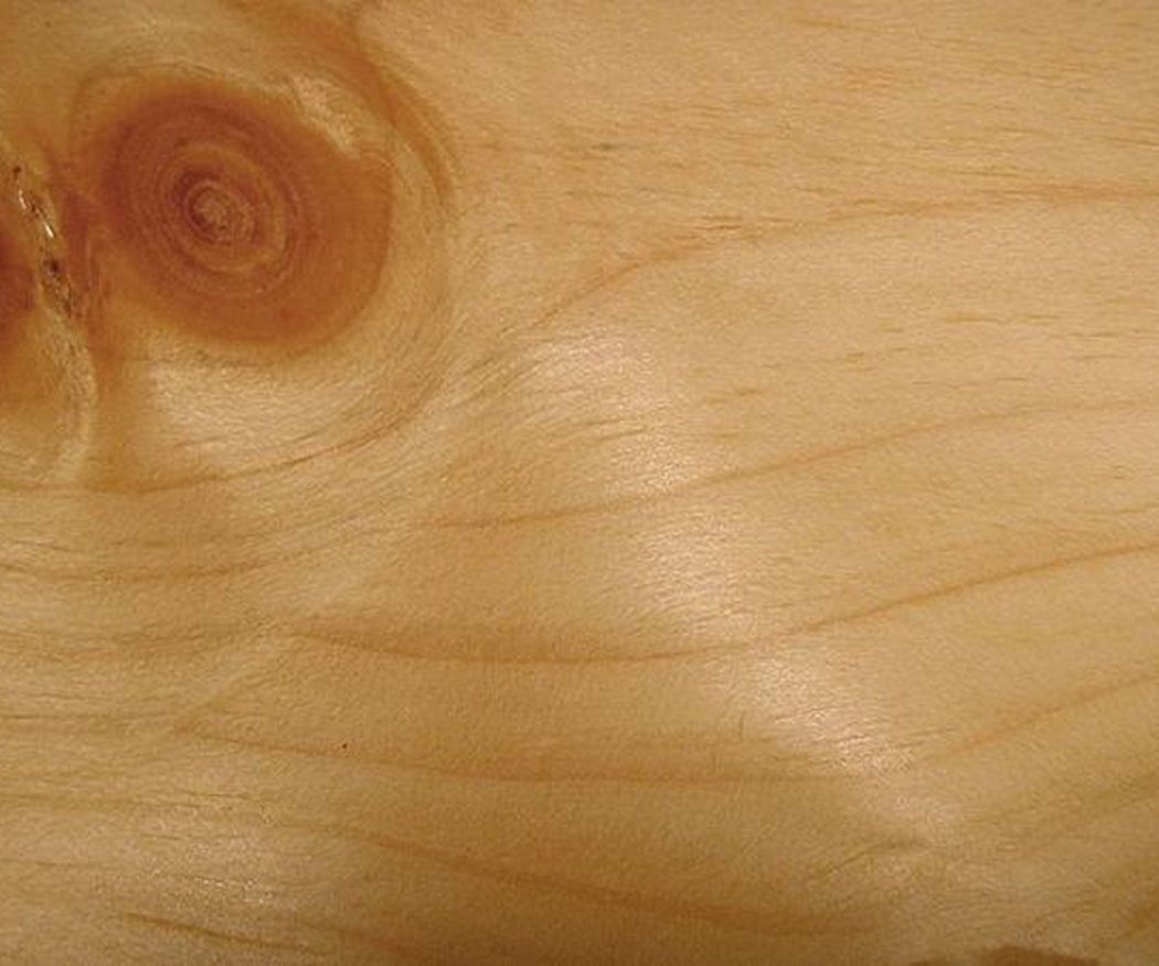 Cualidades de la madera de pino