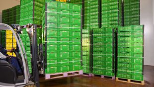 Imagen de Nuestros servicios - Exportación de frutas y hortalizas