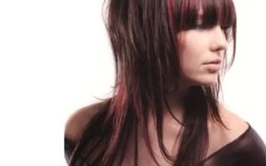 Imagen 1 de la galería