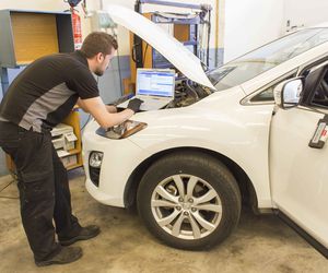 Disponemos de todos los programas de diagnosis de averías de vehículos para una perfecta reparación