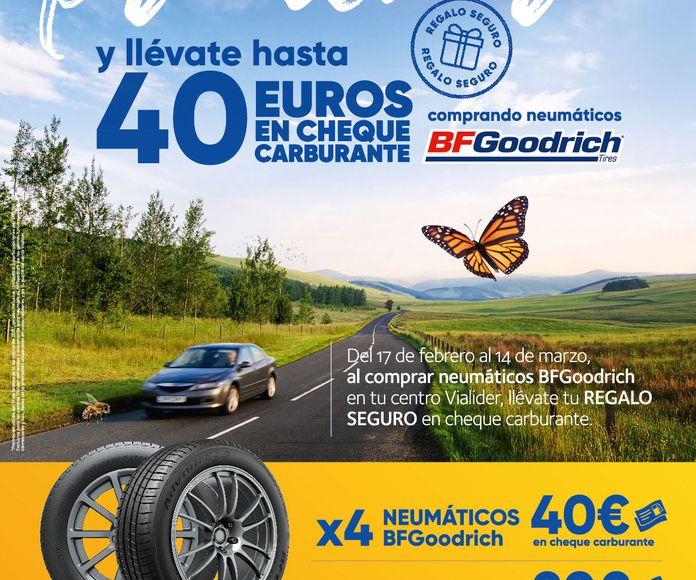 Promoción de neumáticos en Torrelaguna. Talleres Norte 