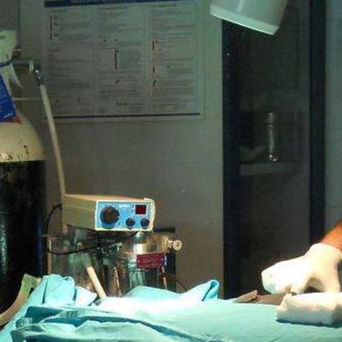 Hospital Veterinari Sant Antoni Abat en Mollet del Valles 