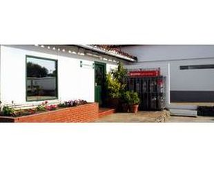 Servicios