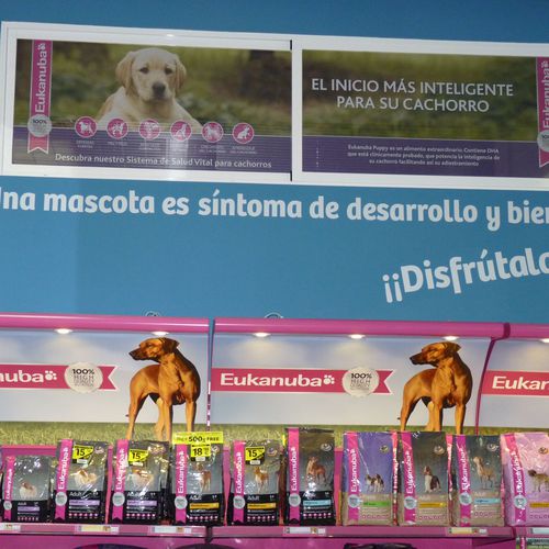 Pienso para perros en Arganzuela Madrid