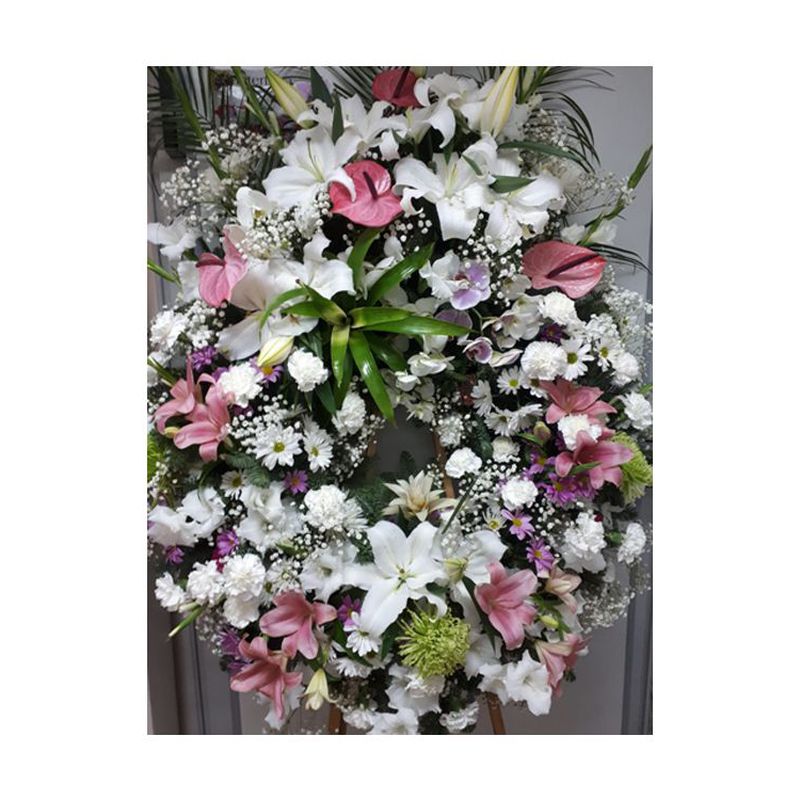 Funerarios: Catálogo de Flores Maranta