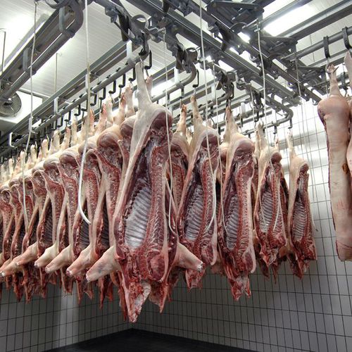 Empresa familiar de artesanos de la carne de cerdo en Zamora