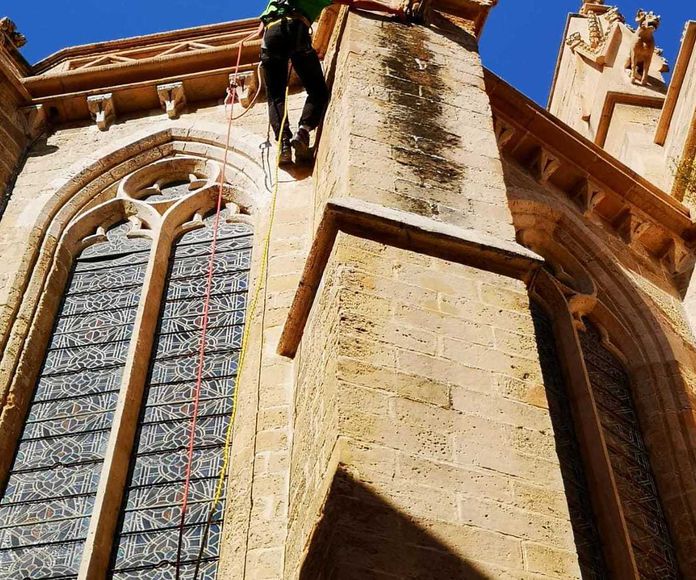 Limpieza de gárgolas y desagüe en Iglesia de la santa Creu