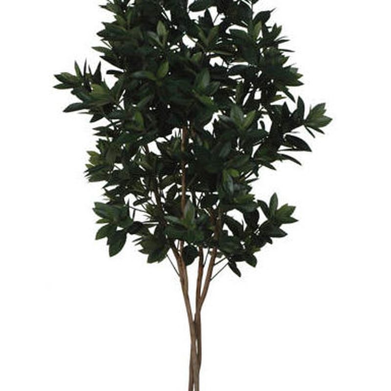SWEET LINK TREE (1,50 M.) COLOR: VERDE REF.:70552 GR PRECIO: 135,00 €