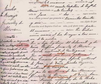 Documentos Legales/Legal Documents: Servicios de Traducciones Olga Mª Negrín Ramos