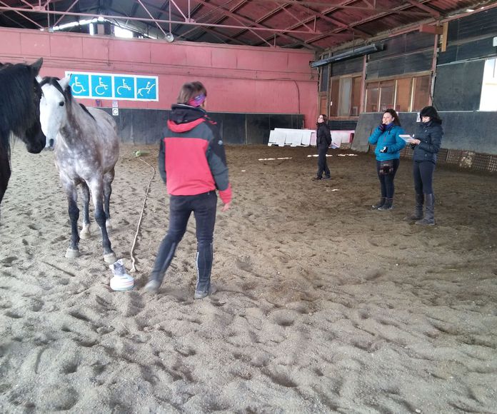 Aprendizaje con caballos: Servicios de Centro de Equitación y Equinoterapia Biki Blasco