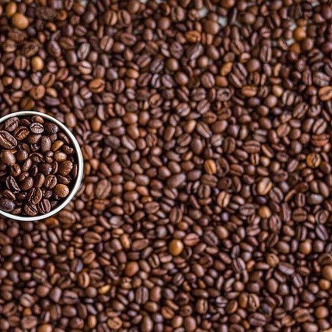 Descubre más sobre el tueste del café