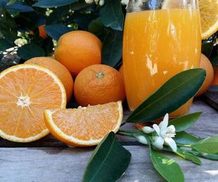 Naranjas zumo mediano 17 kg