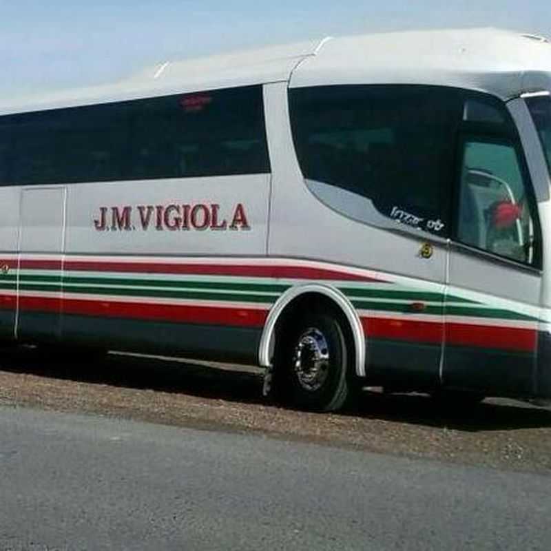 Excursiones: Servicios de J. M. Vigiola
