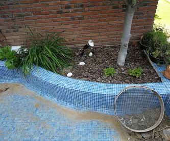 Mantenimiento y limpieza de jardines: Servicios de Eloy Jardinería