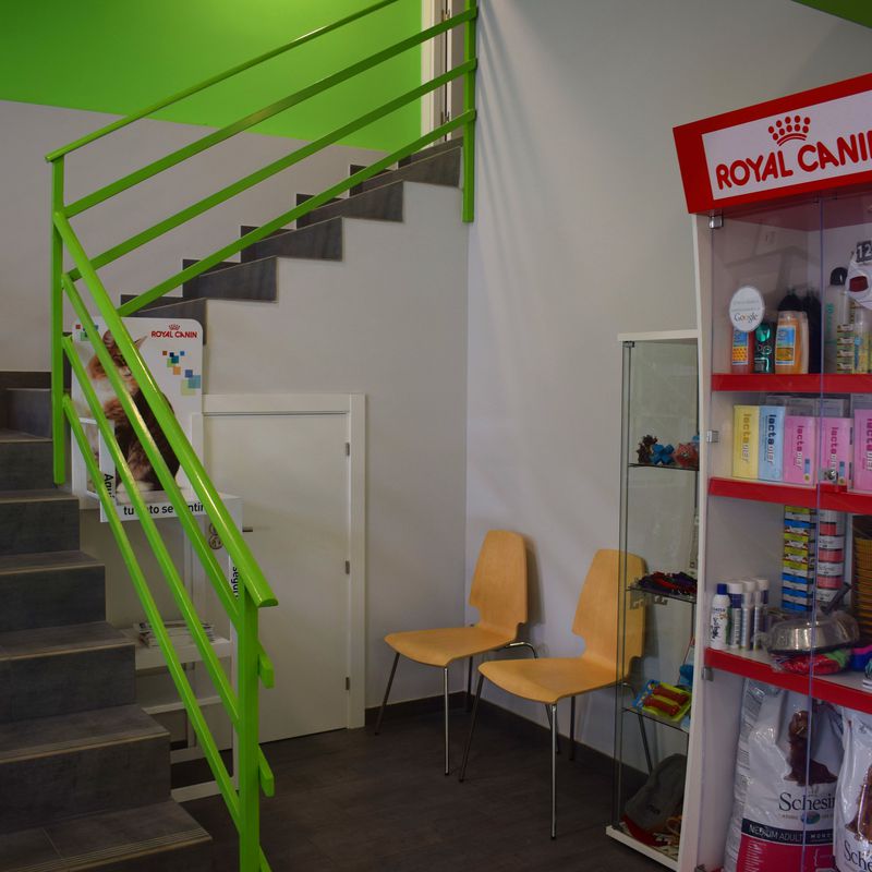 Tienda Especializada: Servicios veterinarios de Clínica Veterinaria Parque de los Estados