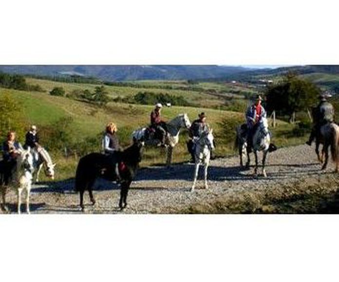 Paseos a caballo: Actividades de Club Hípico Arbayún