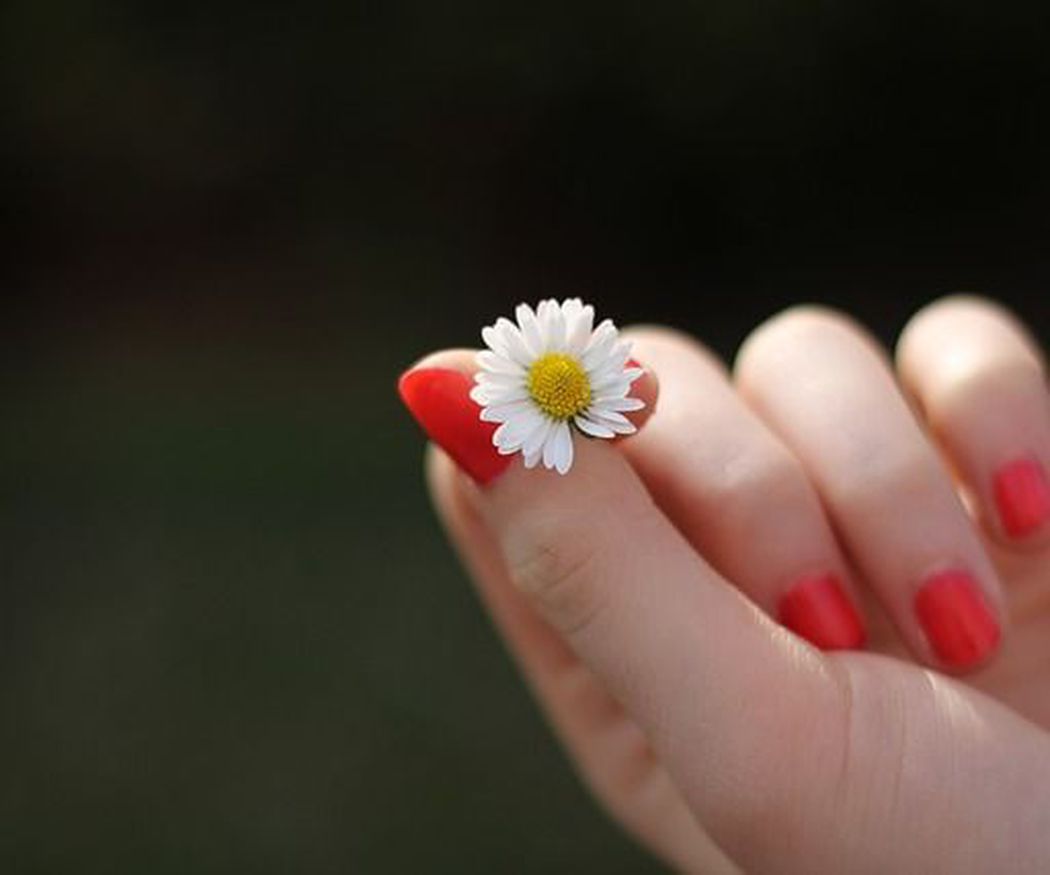 La belleza de tus uñas en todo momento