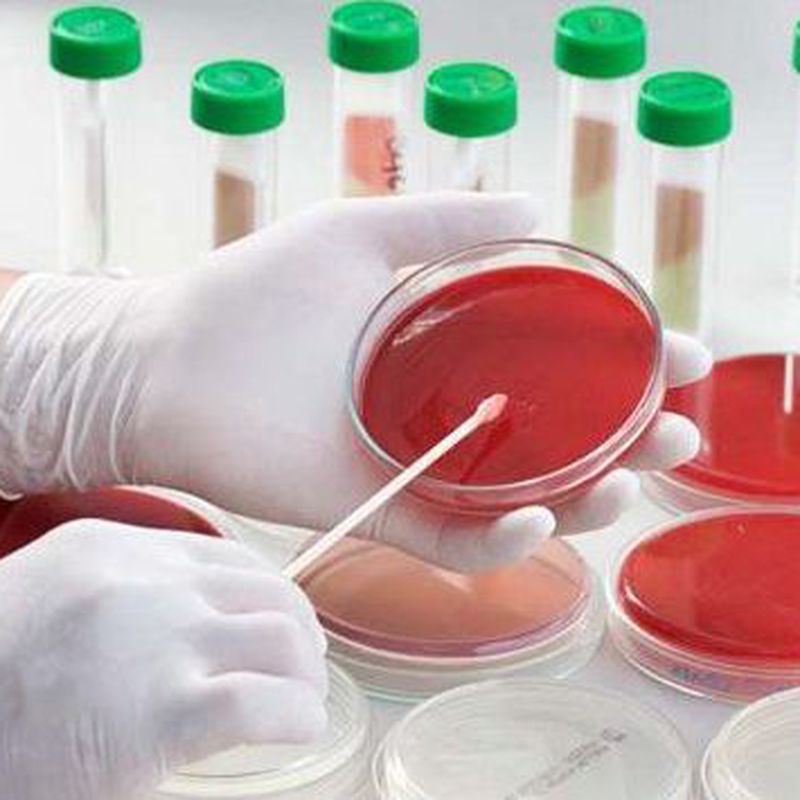 Laboratorio análisis clínicos: Servicios de Sa Indioteria Clínica Veterinaria