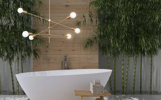 Imagen 6 de la galería