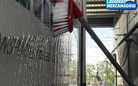 Imagen 7 de la galería