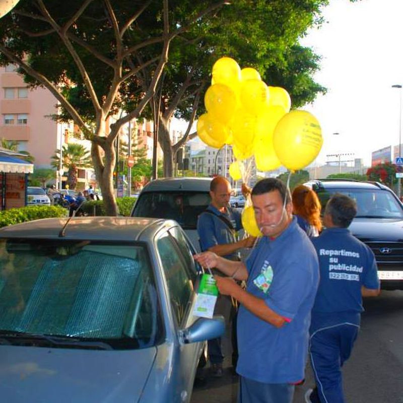 Parabriseo y Perching: Servicios que ofrecemos. de Logística Integral Canaria