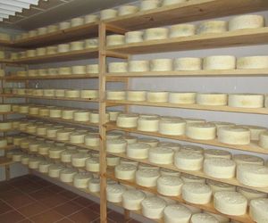 Venta de queso artesano cabrales en Asturias