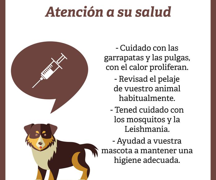 Atención a la salud de tu mascota 