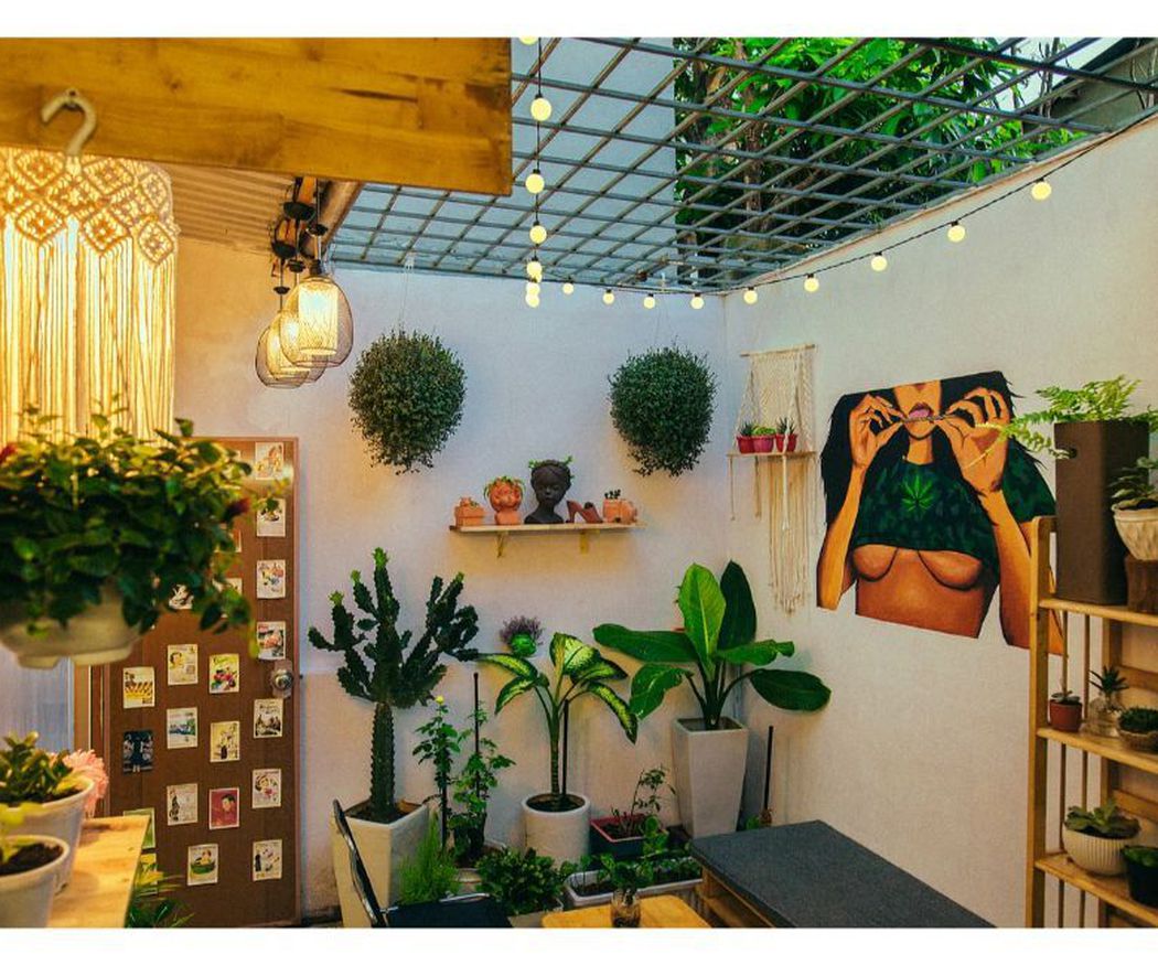 Un jardín dentro de tu casa