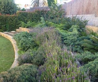Xerojardinería / Jardineria sostenible: Els nostres serveis de Jardinería Bordera