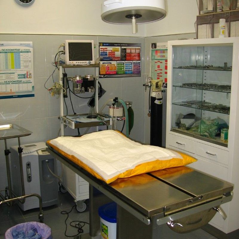 Cirugía: Servicios de Centro Veterinario Azuqueca