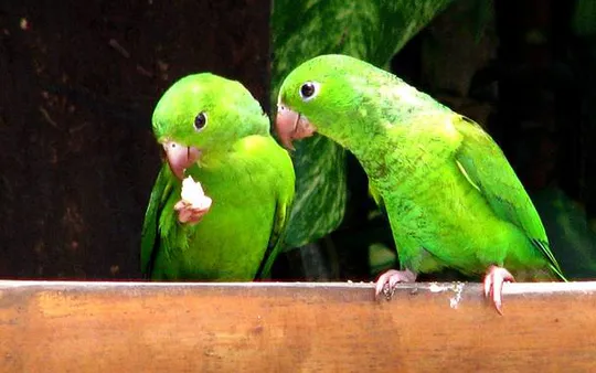 Imagen 7 de la galería