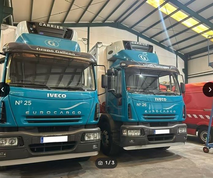 CAMIONES IVECO FRIGORÍFICOS: Coches de Talleres Joaquín López, S.L.