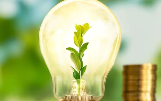 Imagen 4 de la galería