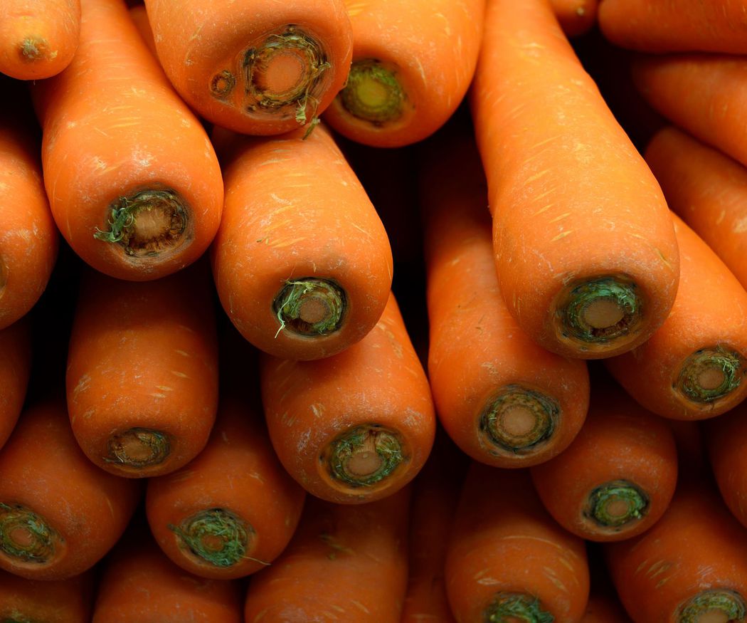 Cocinar fácil y nutritivo con zanahorias