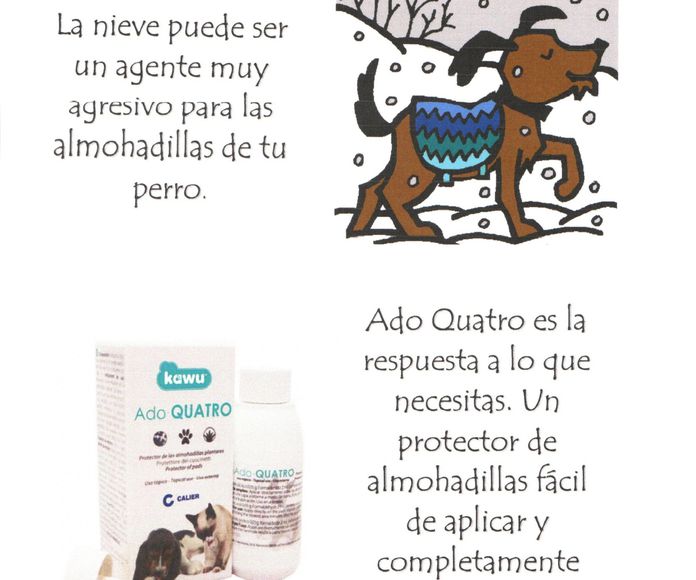 ¿Vas a ir a la nieve con tu mascota?