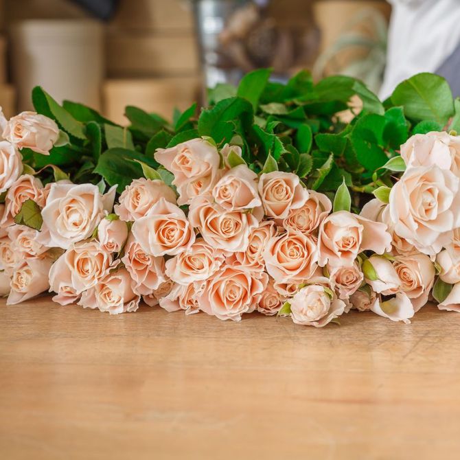 Las mejores flores para tu boda
