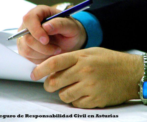 Seguros empresas Asturias