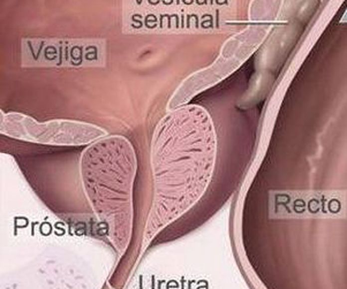 Urología: Servicios de Luis Miguel Nalda