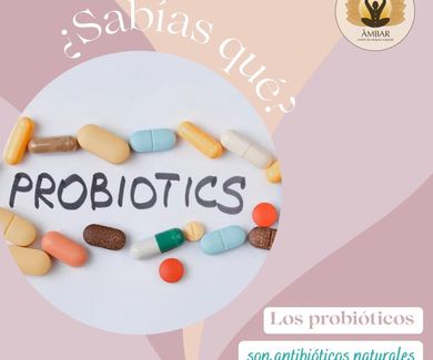 Los probióticos: antibióticos naturales