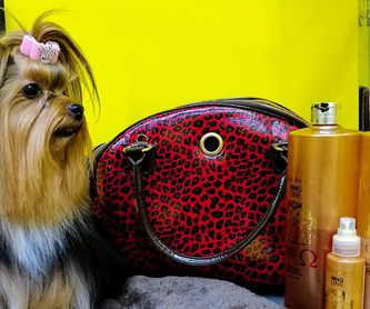 Spa Canino: Productos y Servicios de Amazonas 1
