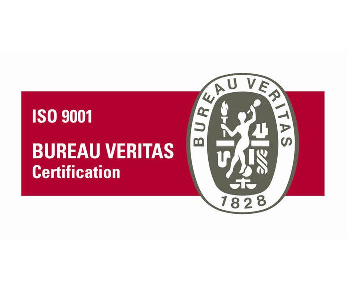 ISO 9001 }}