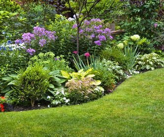 Mantenimiento de jardines: Servicios de Grupo Cánovas Jardinería