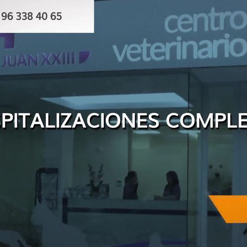 Veterinario 24h en Valencia | Centro Veterinario Juan XXIII